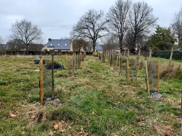 Plantation du verger